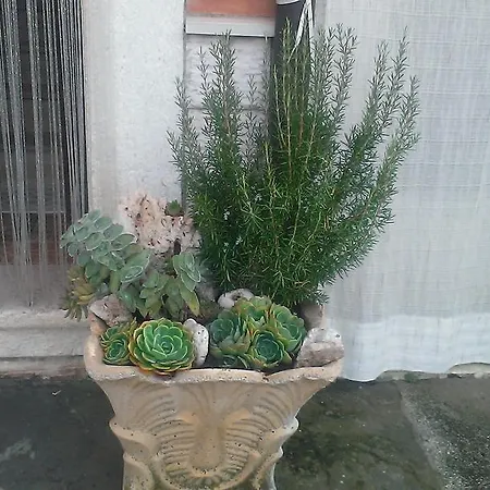Casa Michela Apartman *